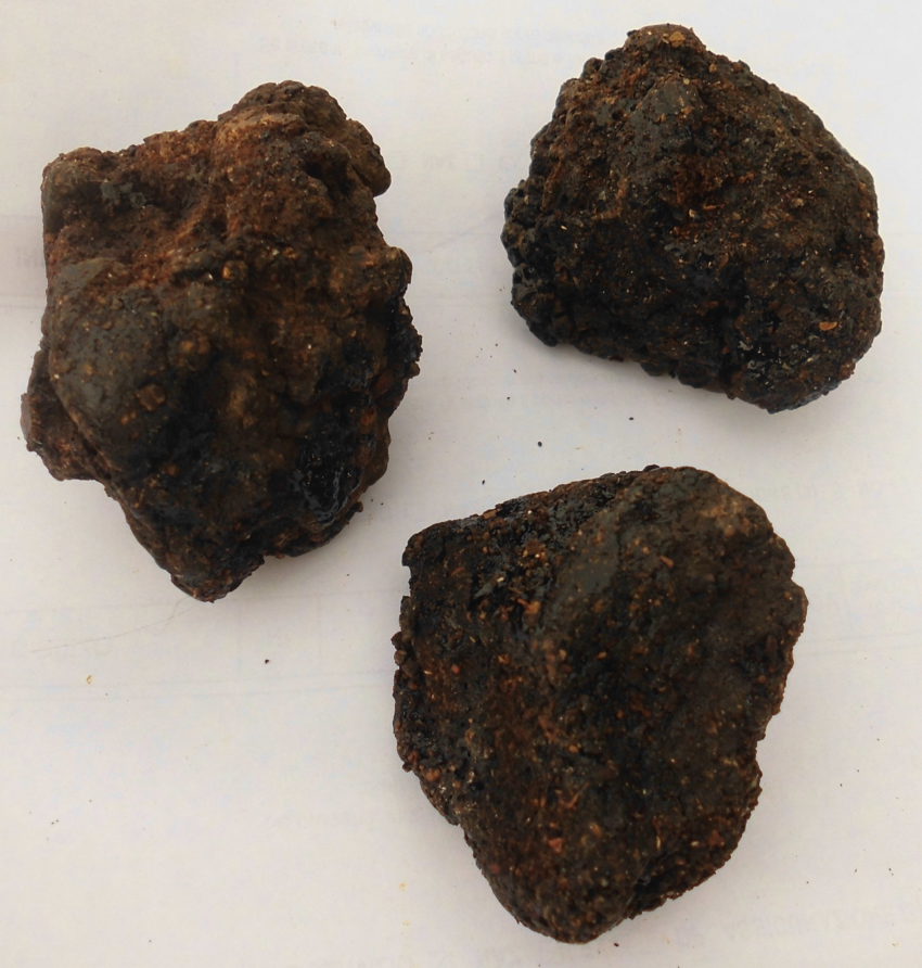 Shilajit (Asfaltum bitumen)