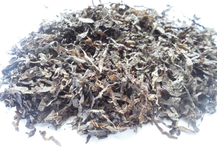 Mapacho (Nicotiana rustica)