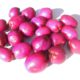 Ciliegio magenta (Syzygium australe)