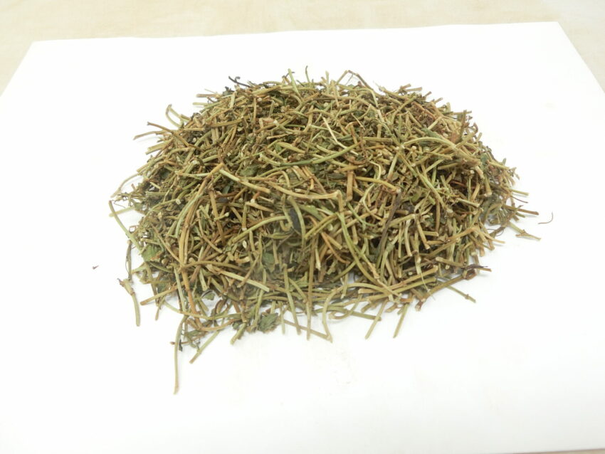 Brahmi (Bacopa monnieri)