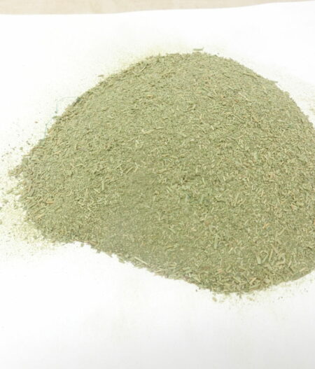 Brahmi (Bacopa monnieri) - in polvere, 50g