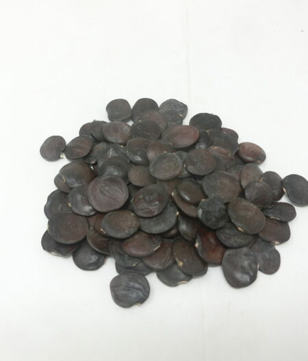 Argyreia acuta, sementi essiccate