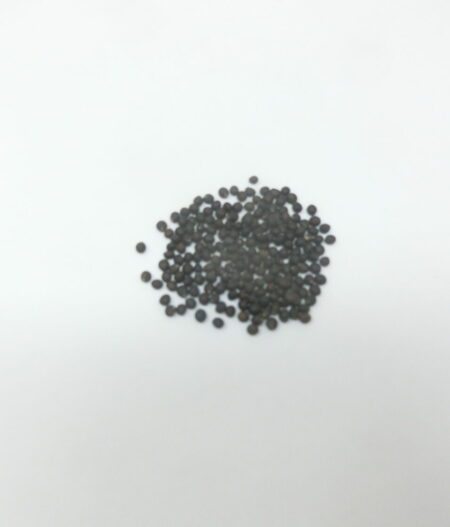 Salvia recognita, sementi essiccate autoprodotte