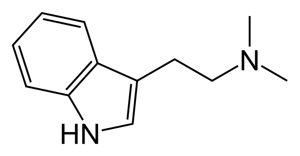 DMT endogeno, ultime news