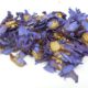 Loto blu (Nymphaea caerulea)
