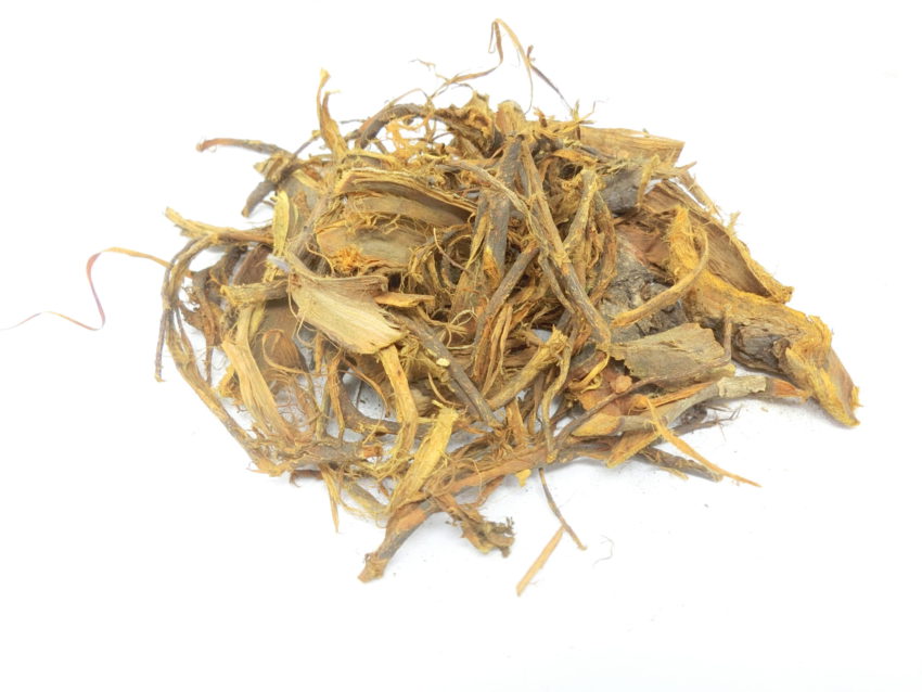 Pesco africano (Sarcocephalus latifolius syn. Nauclea latifolia)