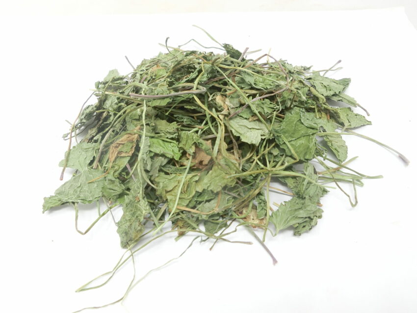 Gotu kola (Centella asiatica)