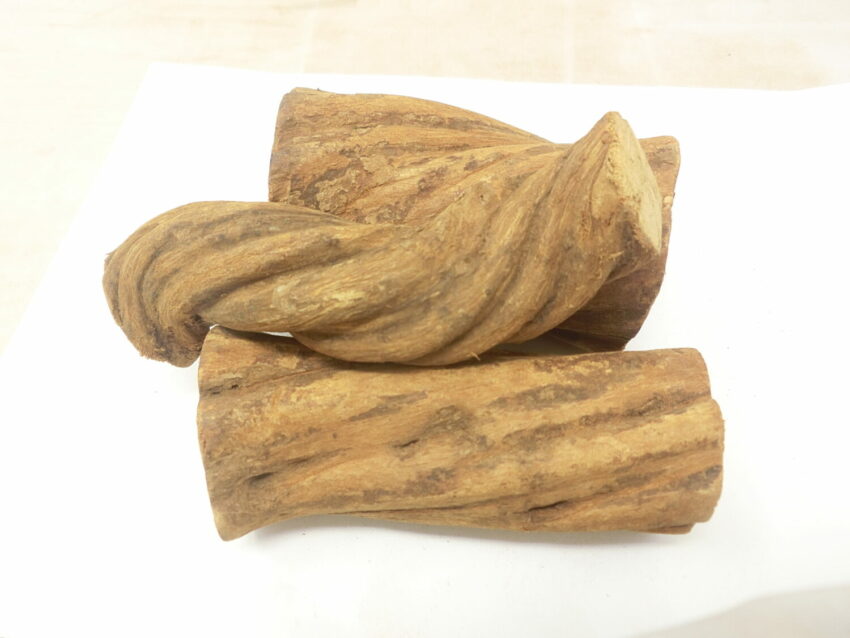 Ayahuasca rossa (Banisteriopsis muricata)