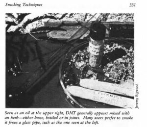 Storia della della changa