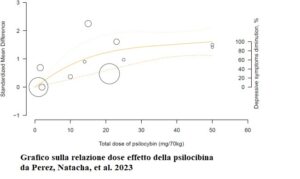 Psichedelici senza psicoterapia