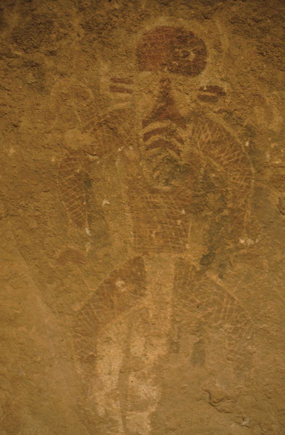 Il famoso "bee-faced mushroom shaman", un petroglifo a Tassili n'Ajjer che presenta delle caratteristiche fungoidi. Mc Kenna ed altri autori hanno ipotizzato rappresentasse uno sciamano di un culto legato ai funghi Psilocybe.