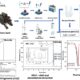 Scheda grafica riassuntiva dello studio comparativo tra corteccia di radice e di fusto di Mimosa hostilis