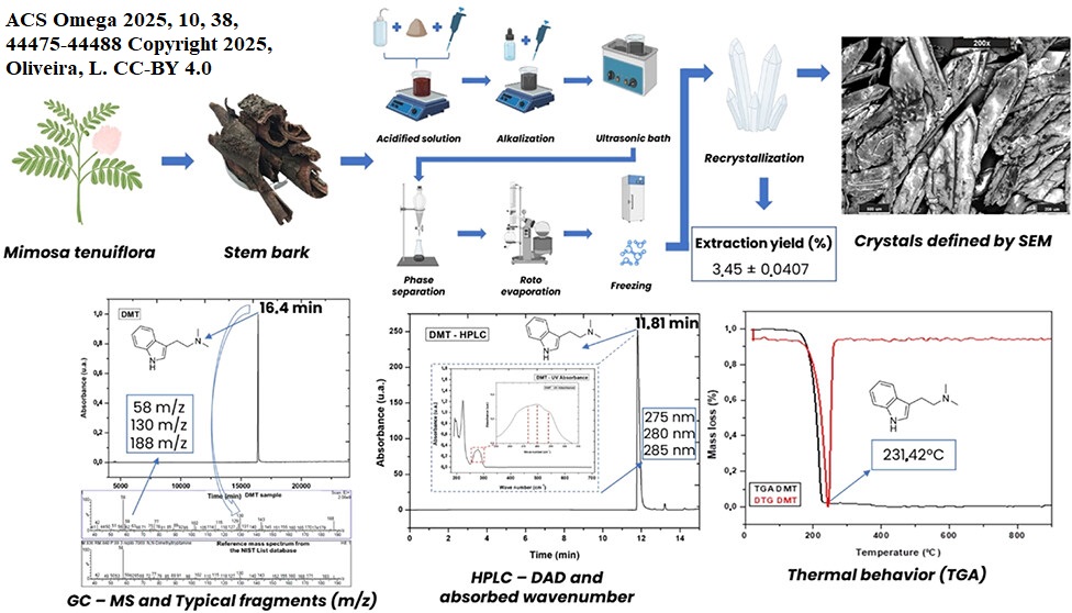 Scheda grafica riassuntiva dello studio comparativo tra corteccia di radice e di fusto di Mimosa hostilis
